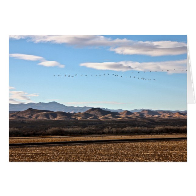 Cartão Bosque del Apache, Novo México (Frente Horizontal)