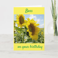 **BOSS** SUNFLOWER PARA SUA PLACA DE ANIVERSÁRIO
