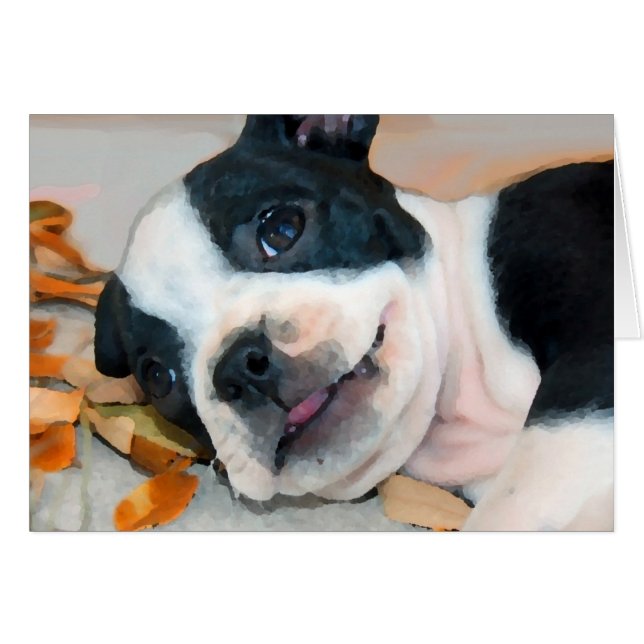 Cartão Boston Play (Frente Horizontal)