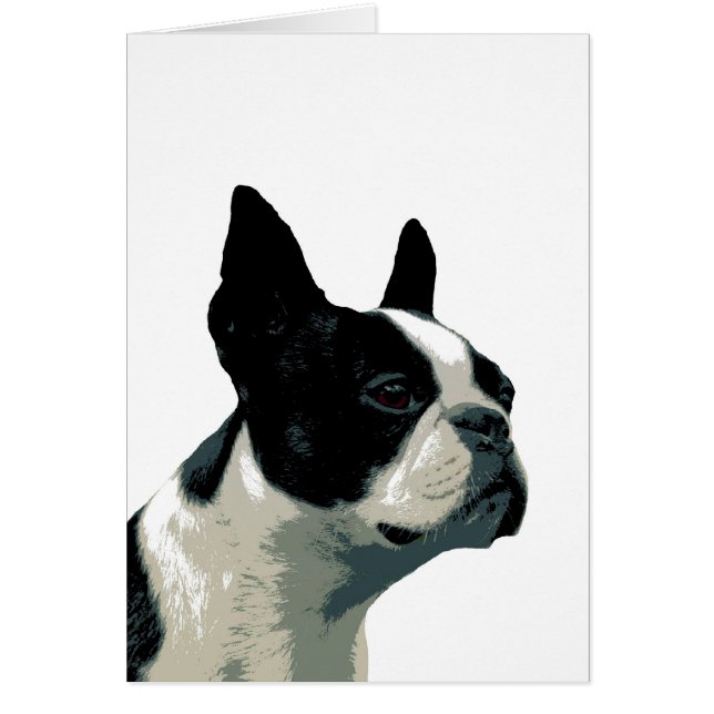 Cartão boston terrier (Frente)