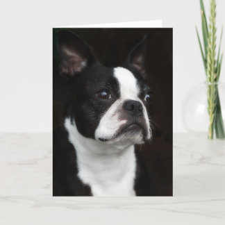 Cartão Boston Terrier