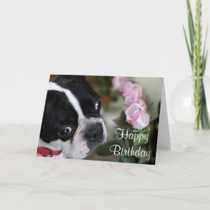 Cartão Boston terrier and flowers