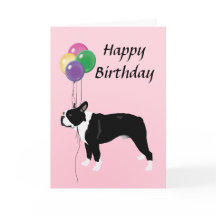 Boston Terrier com feliz aniversario dos balões