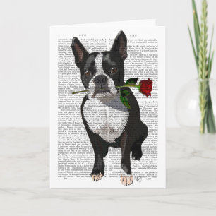Cartão Boston Terrier com Rosa em Boca