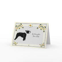 Boston Terrier com simpatia do Dogwood