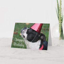 Cartão Boston terrier com um desejo de aniversário