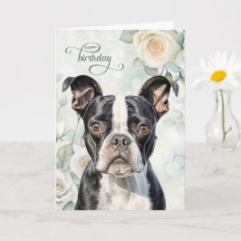 Cartão Boston Terrier Dog with White Roses Birthday