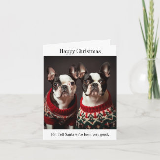 Cartão Boston Terrier Dogs em Suéteres de Natal