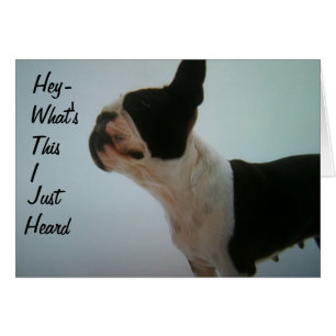 CARTÃO BOSTON TERRIER ESTÁ SURPRESO