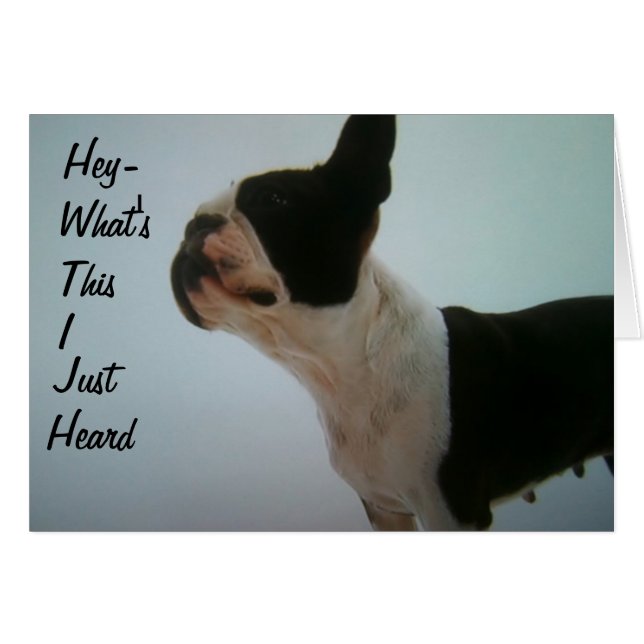 CARTÃO BOSTON TERRIER ESTÁ SURPRESO (Frente Horizontal)