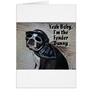 Cartão Boston Terrier: Fender Bunny