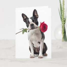 Cartão Boston Terrier no Dia dos Namorados – Amor Elegant