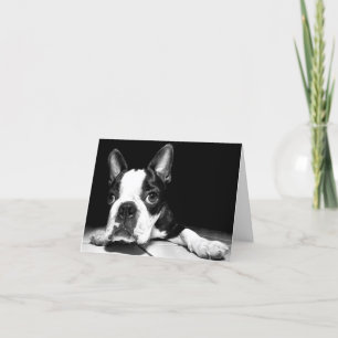 Cartão Boston Terrier Puppy Dog  Blank Notecard