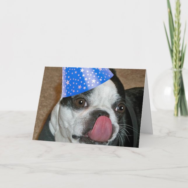 Cartão Boston Terrier Tongue Happy Birday Card (Frente)