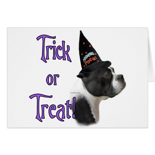 Cartão Boston Terrier Trick (Frente Horizontal)