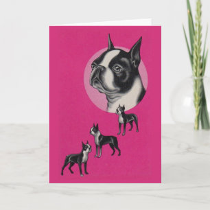 Cartão Boston terriers