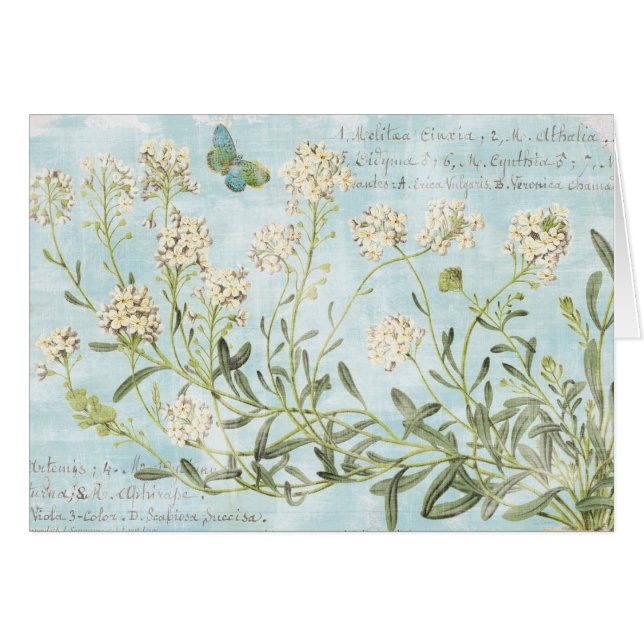 Cartão Botânico azul (Frente Horizontal)