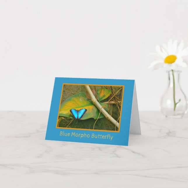 CARTÃO BOTÃO AZUL MORPHO NEGRO 2 NOTECARD (Planta pequena)