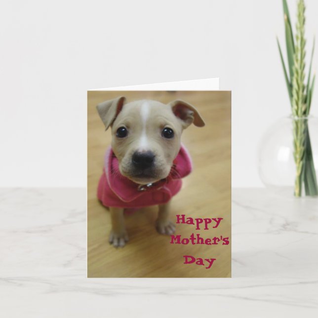 Cartão Botão de ouro (Frente)