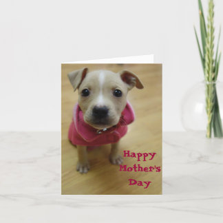 Cartão Botão de ouro