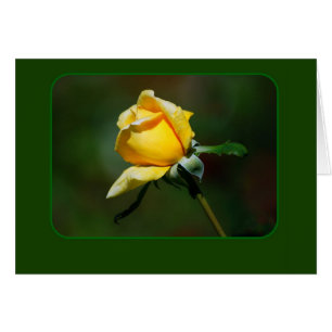 Cartão Botão do rosa amarelo