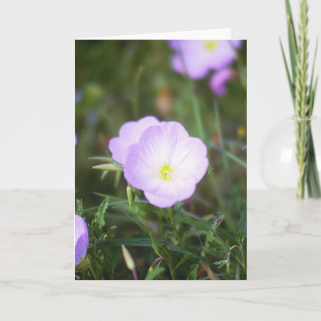 Cartão Botões de ouro (Frente)