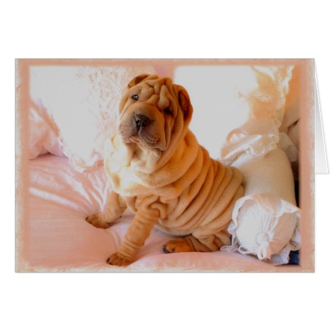 Cartão Boudoir (Frente Horizontal)