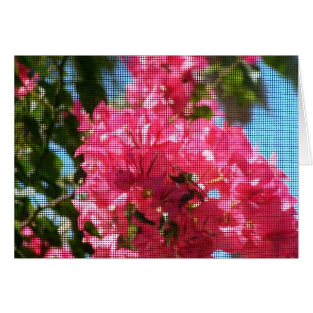 Cartão Bougainies Aboundando (Frente Horizontal)