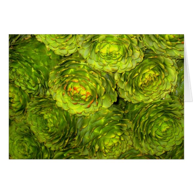 Cartão Boutique da alcachofra (Frente horizontal)