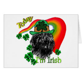Cartão Bouvier des Flandres St Patricks