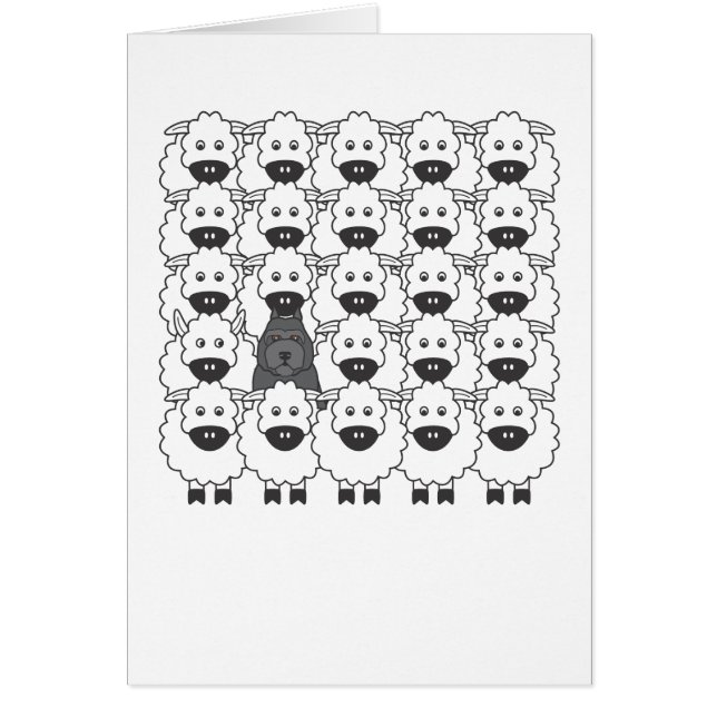 Cartão Bouvier nos carneiros (Frente)