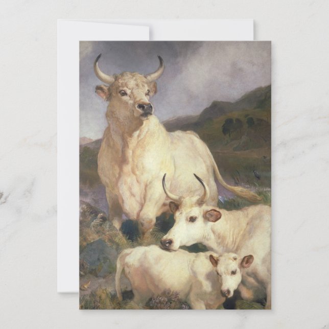 Cartão Bovinos Selvagens de Chillingham (Frente)