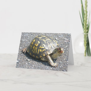 Cartão Box Turtle Note Card
