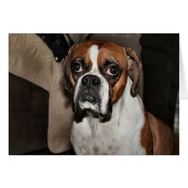 Cartão Boxer (Frente Horizontal)