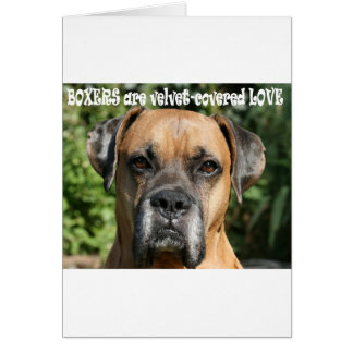 Cartão Boxer: Amor coberto de veludo