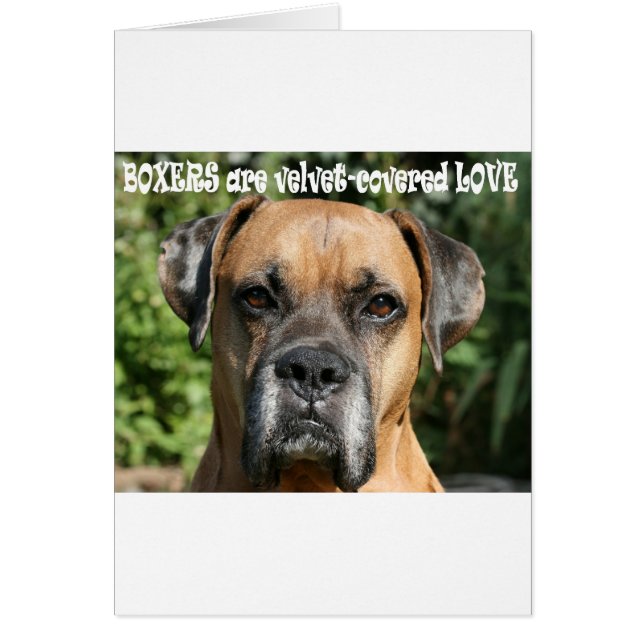 Cartão Boxer: Amor coberto de veludo (Frente)