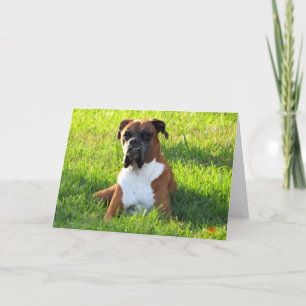 Cartão Boxer Dog