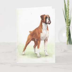 Cartão Boxer Dog Portrait Blank Greeting Card