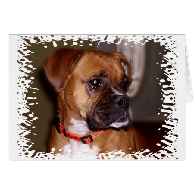 Cartão Boxer Love (Frente Horizontal)