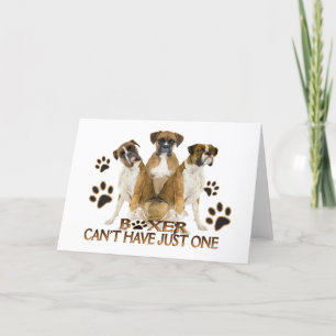 Cartão Boxer não pode ter apenas uma placa