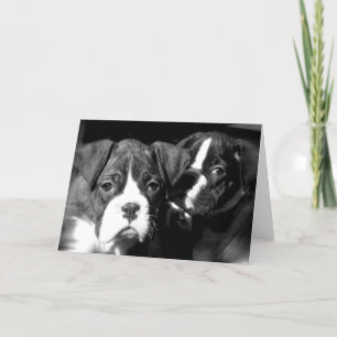 Cartão Boxer pups greeting card