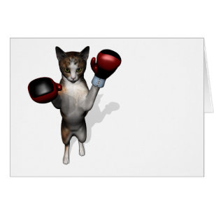 Cartão Boxer Tabby