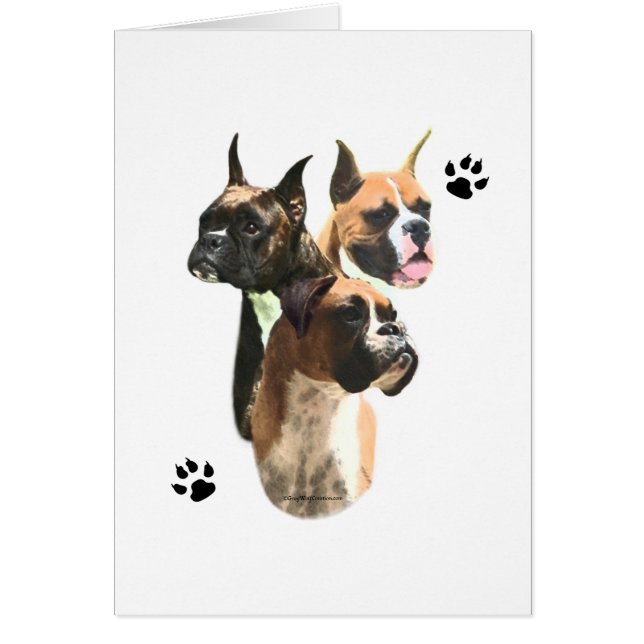 Cartão Boxer Trio (Frente)