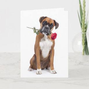 Cartão Boxer Valentine – Coração Leal, Alma Divertida