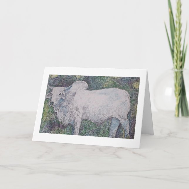 CARTÃO BRAHMA BULL (Frente)