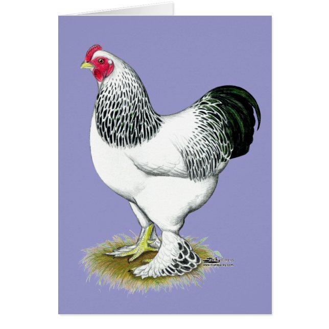 Cartão Brahma: Leve Rooster (Frente)