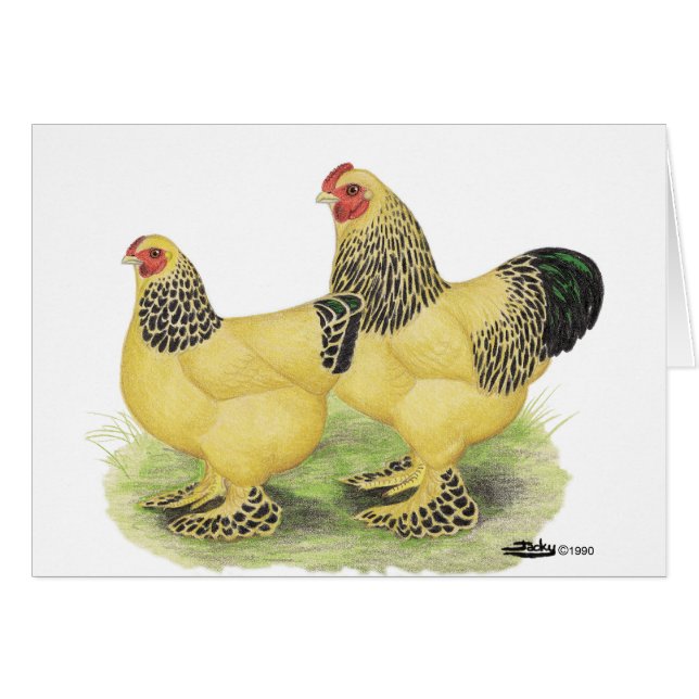 Cartão Brahmas:  Galinhas anãs amarelas (Frente Horizontal)
