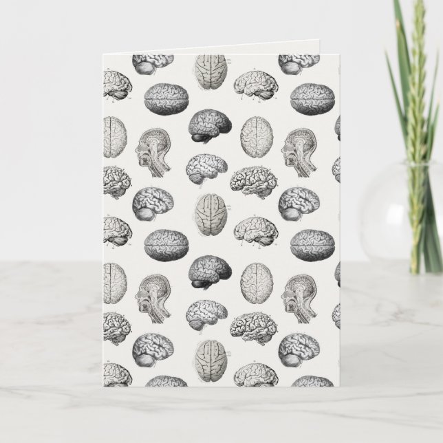 Cartão Brain Anatomy Biology Illustrations (Frente)
