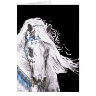 Cartão "Branco árabe "