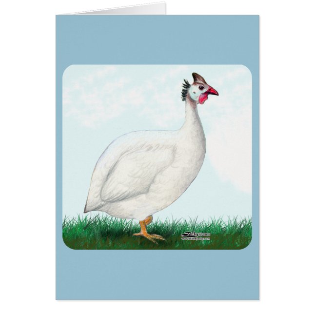 Cartão Branco da Guiné (Frente)